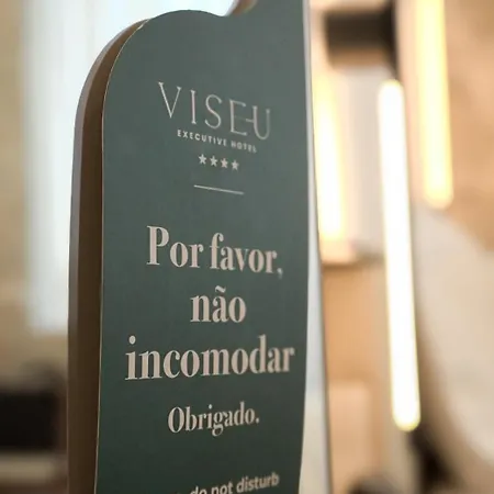 Executive Viseu