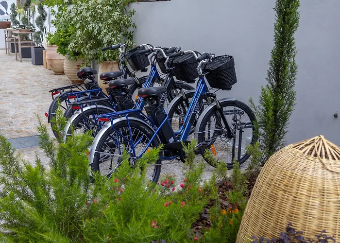 Отель Executive