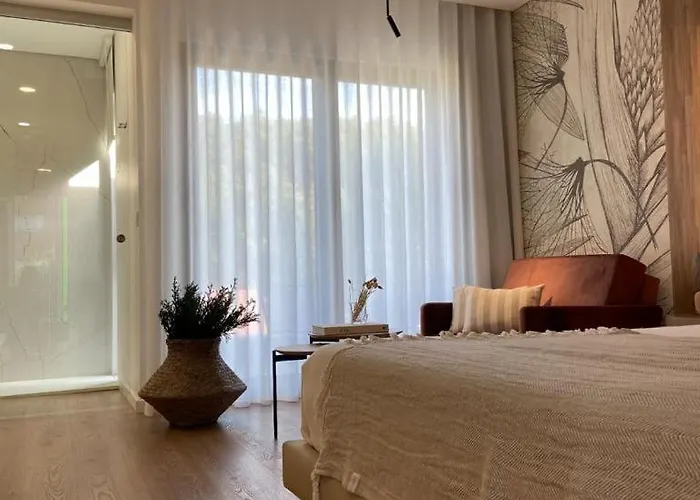 Executive Визеу